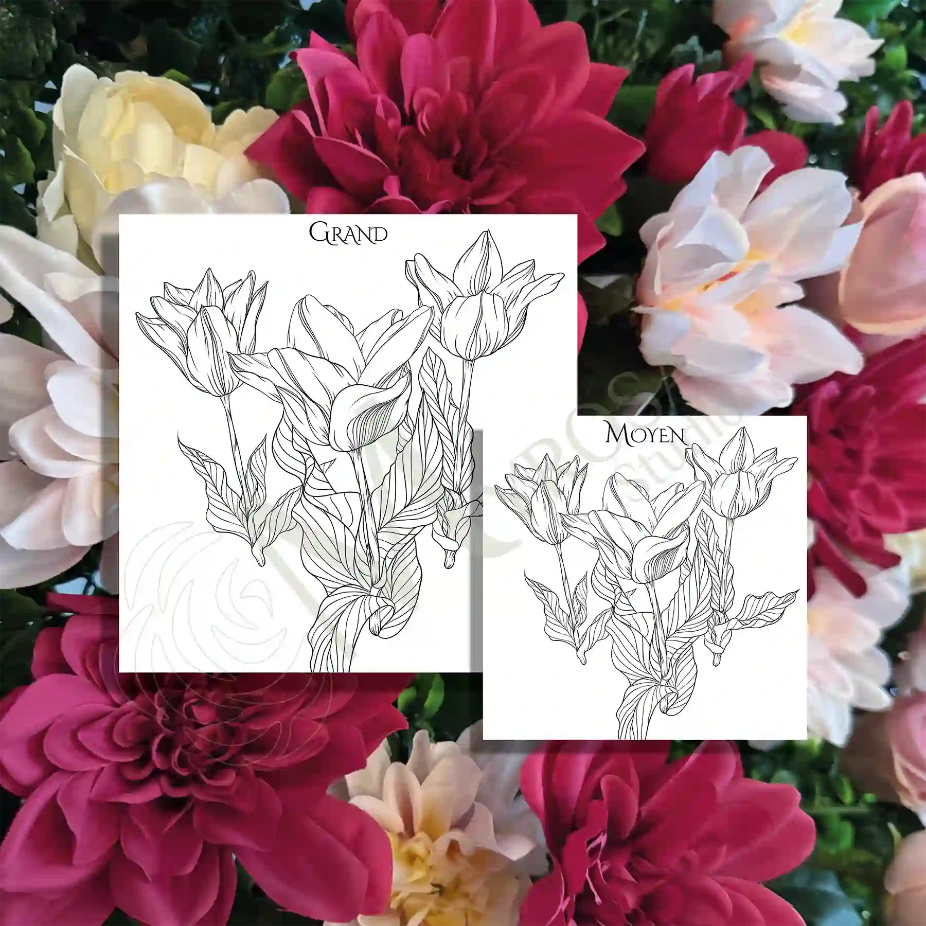 21 2 Affiche à colorier – Myrosa Studio