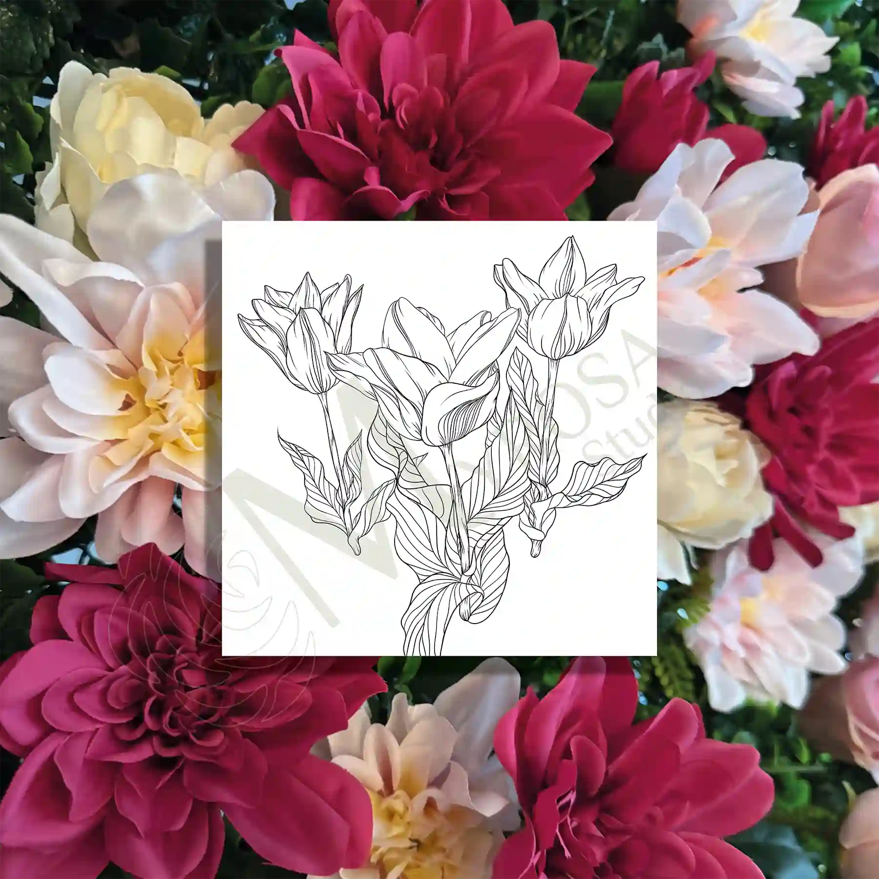 21 Affiche à colorier – Myrosa Studio