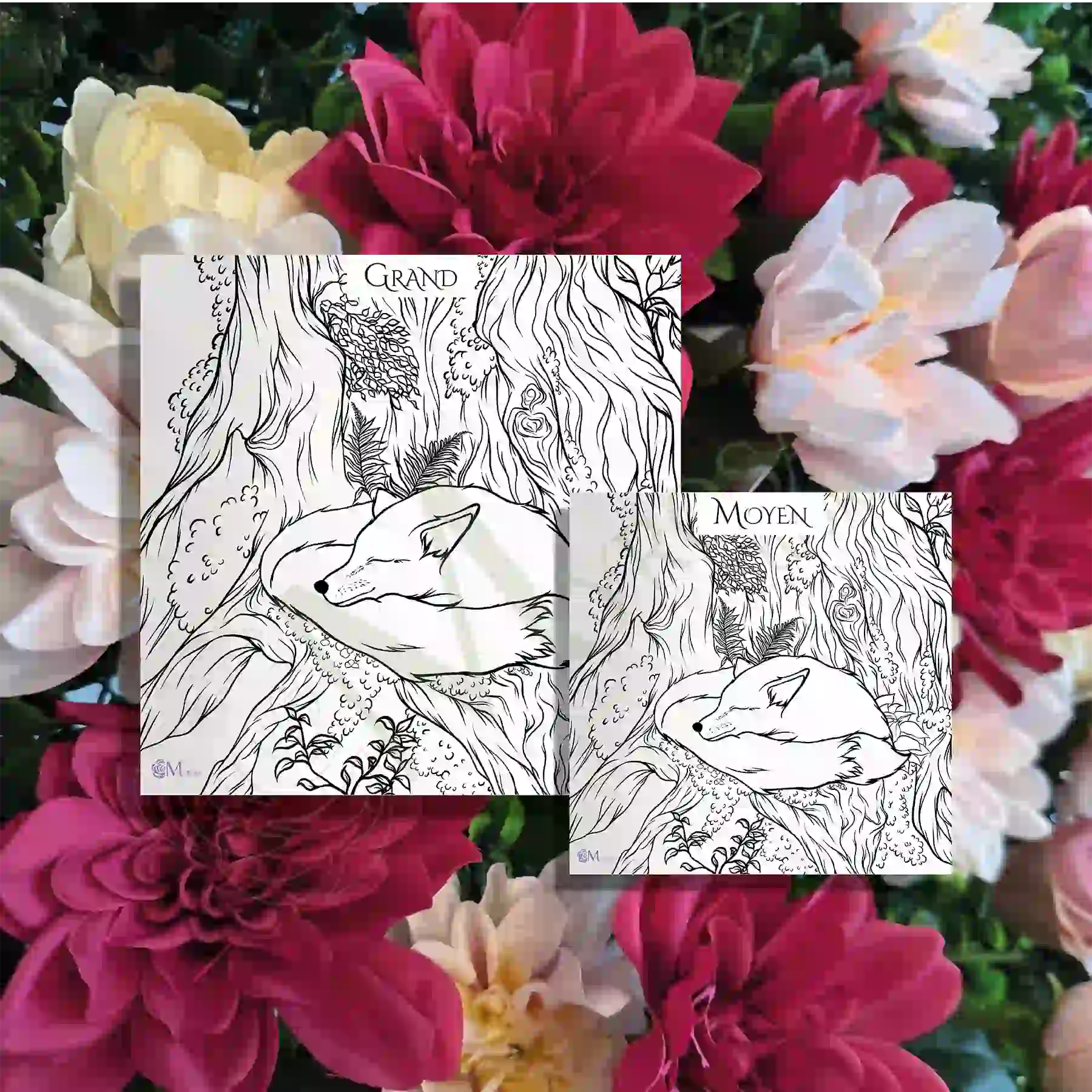 31 2 Affiche à colorier – Myrosa Studio