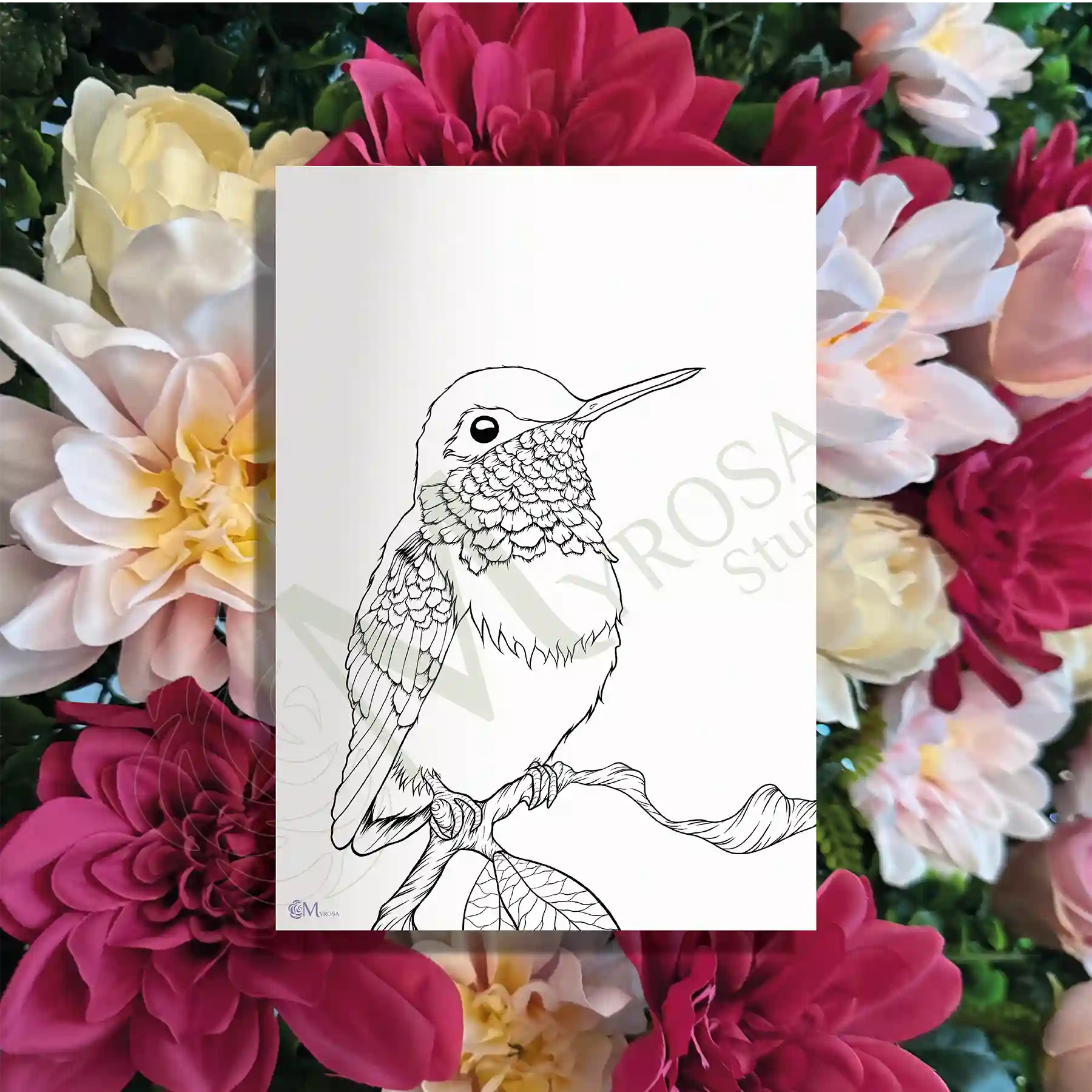 35 Affiche à colorier – Myrosa Studio