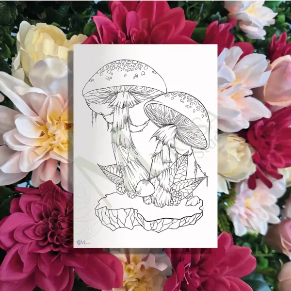 Affiche à colorier – Myrosa Studio