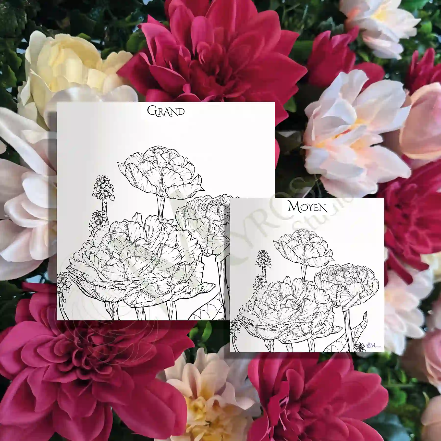 53 2 Affiche à colorier – Myrosa Studio