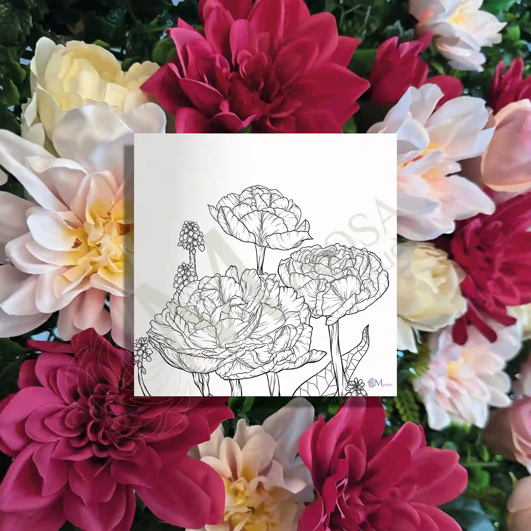 53 Affiche à colorier – Myrosa Studio