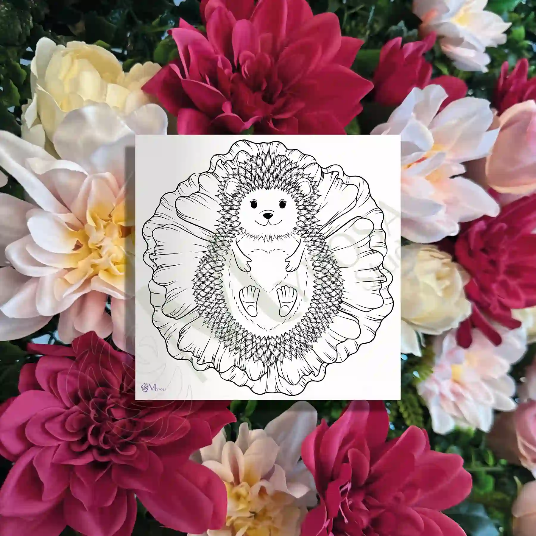 65 Affiche à colorier – Myrosa Studio