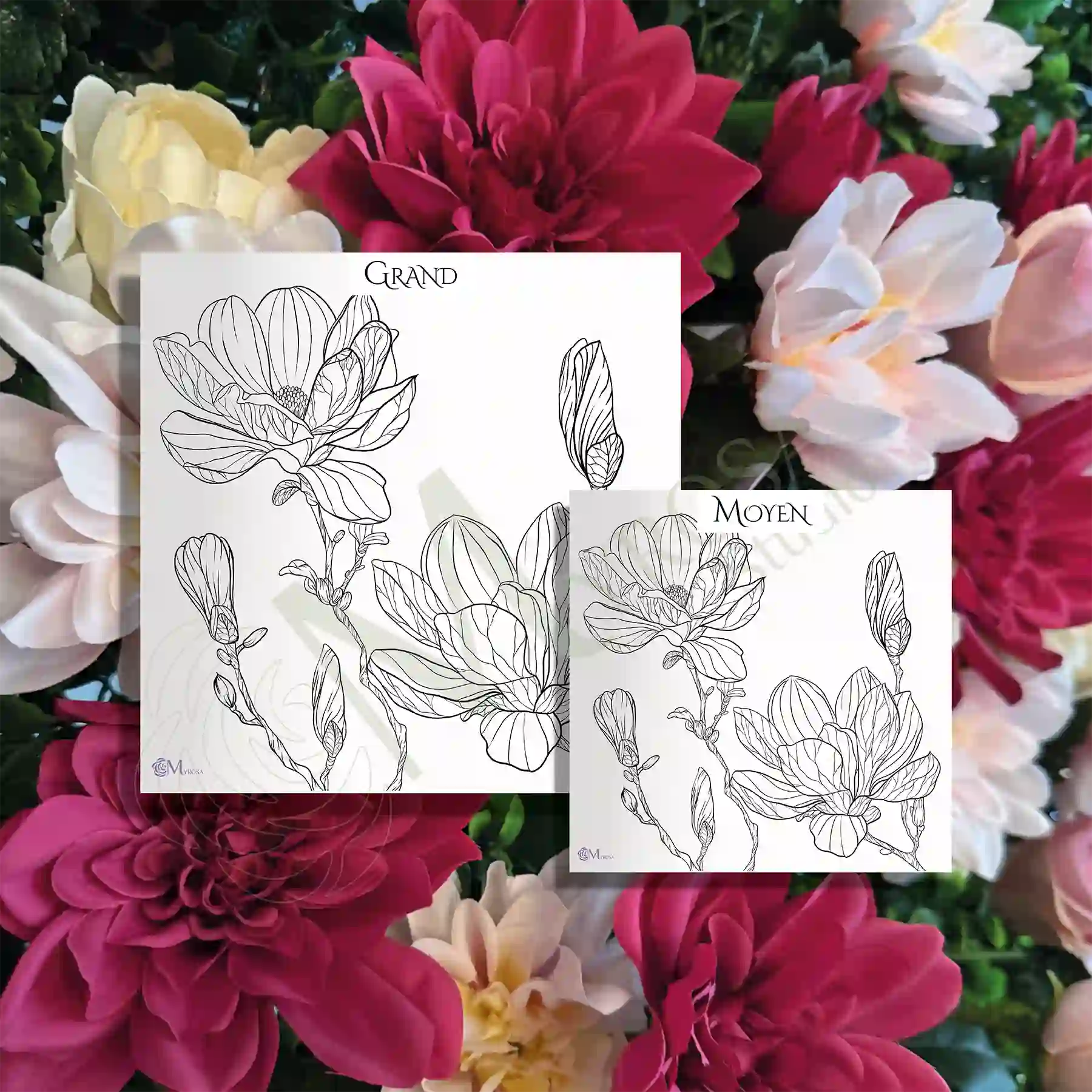 67 2 Affiche à colorier – Myrosa Studio