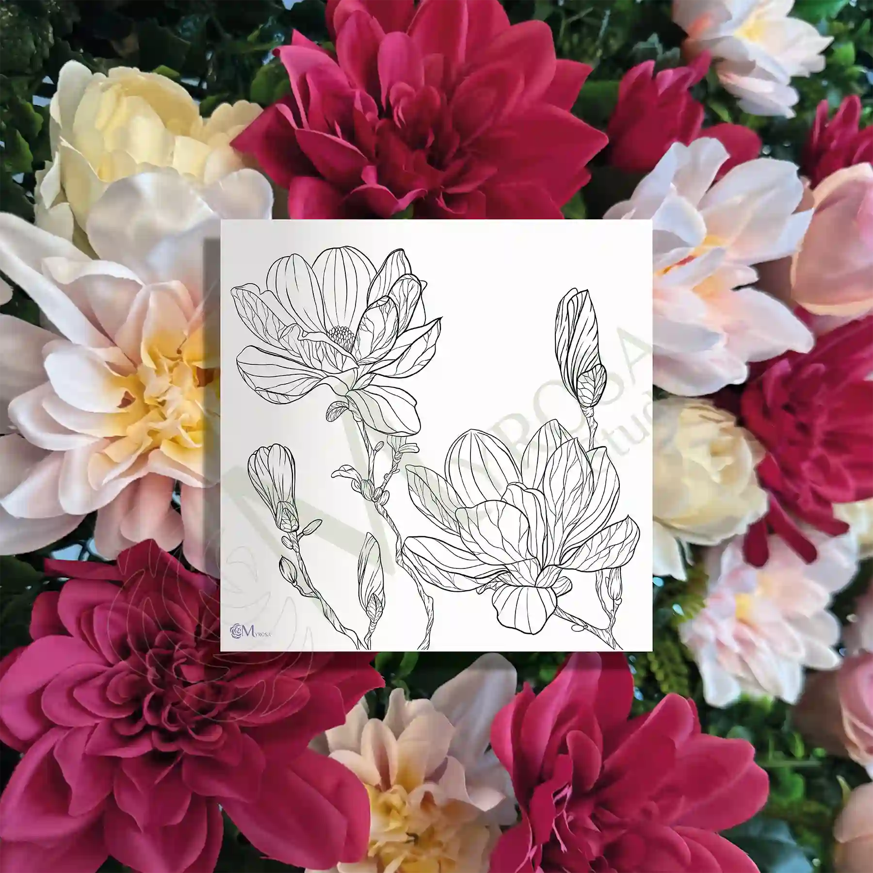 67 Affiche à colorier – Myrosa Studio