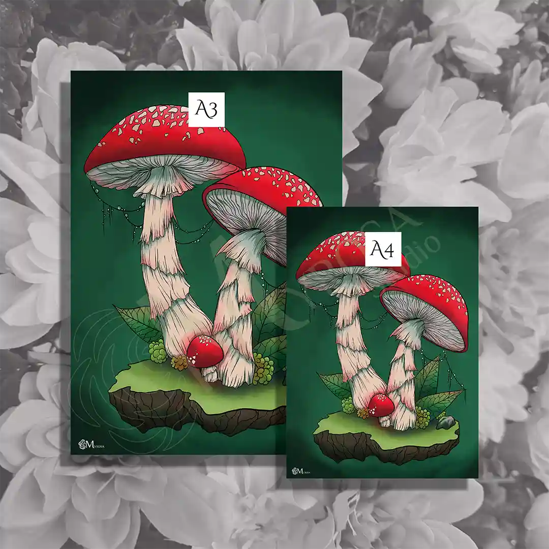 champignon complémentaire a4 2 Affiche couleur – Myrosa Studio