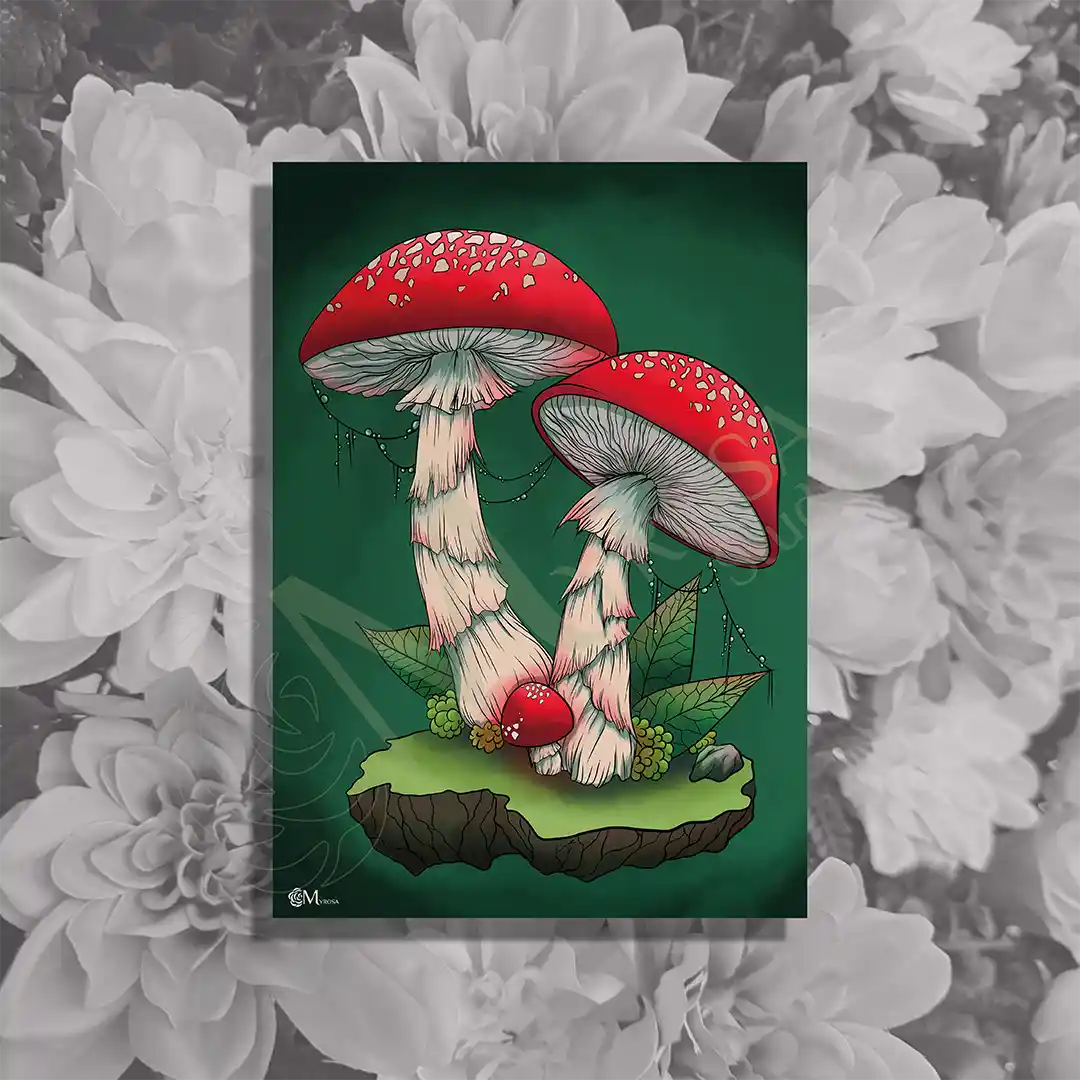 champignon complémentaire a4 Affiche couleur – Myrosa Studio