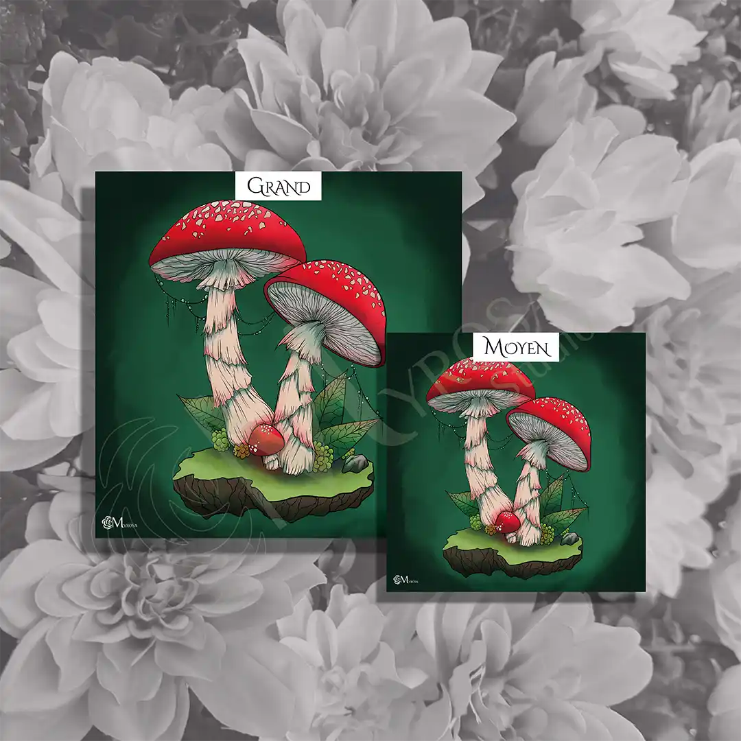 champignon complémentaire carré 2 Affiche couleur – Myrosa Studio