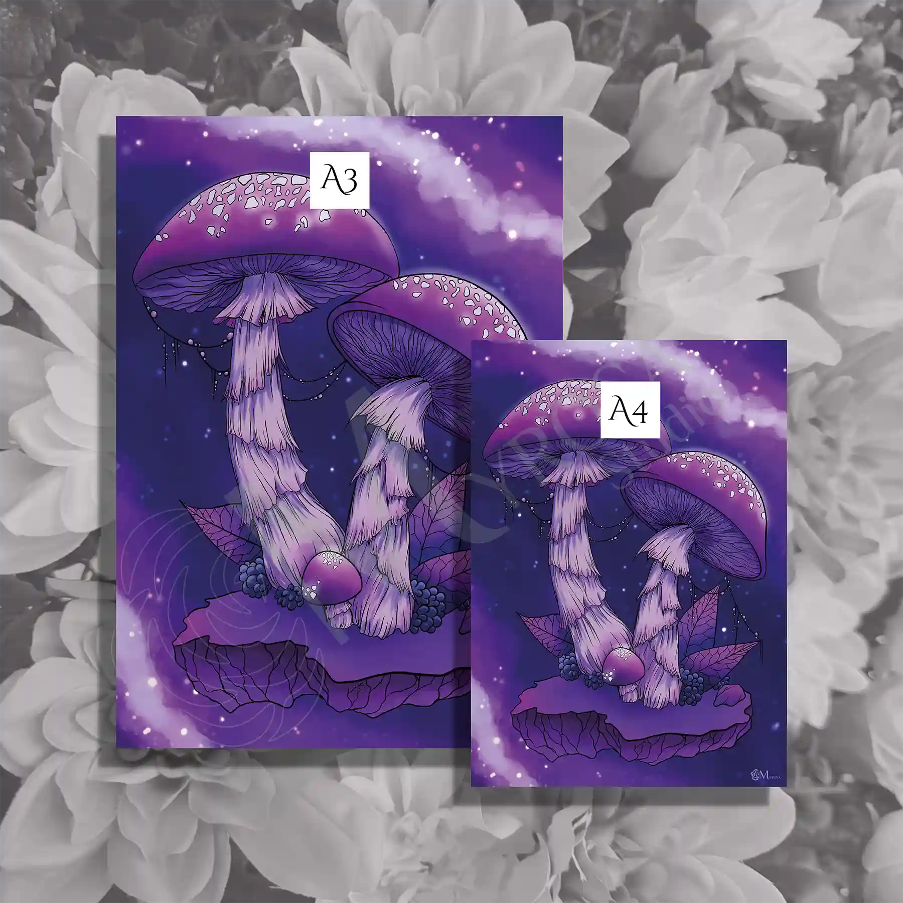 champignon voie lactee a4 2 Affiche couleur – Myrosa Studio