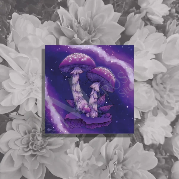 Affiche couleur – Myrosa Studio