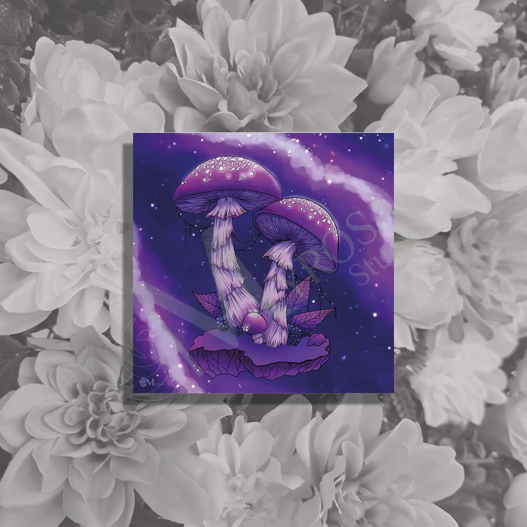 champignon voie lactee carre Affiche couleur – Myrosa Studio