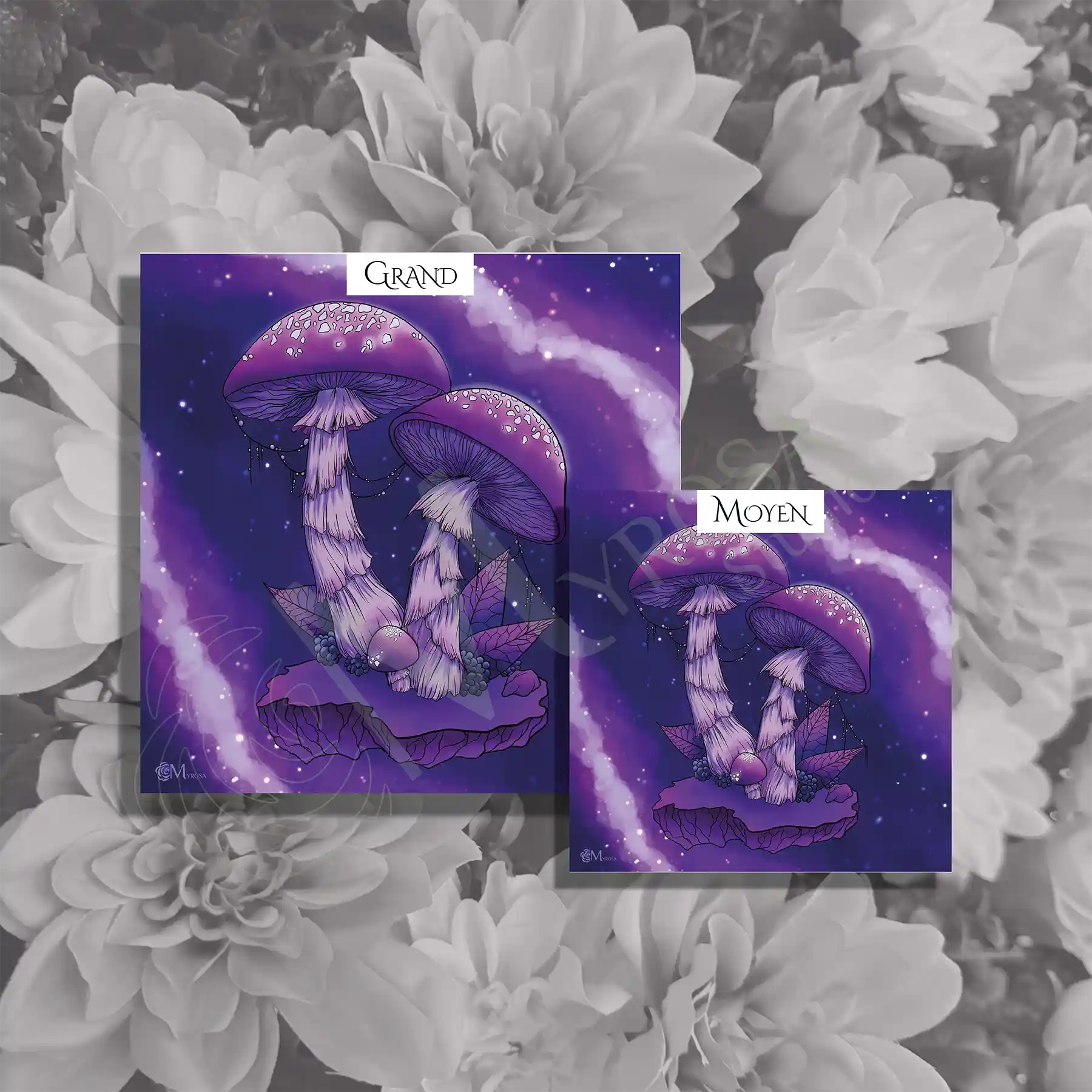 champignon voie lactee carre 2 Affiche couleur – Myrosa Studio