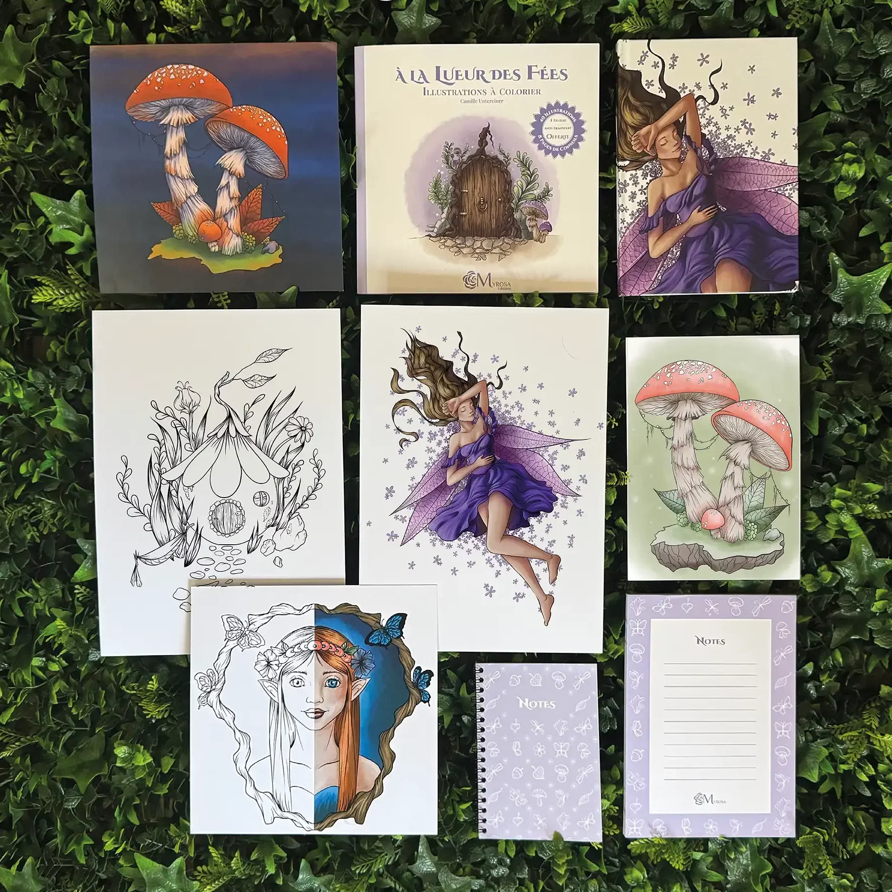 coffret arbre enchante 2